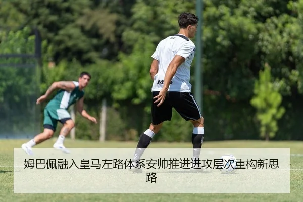 img_1783779145940_848_0_387.jpg